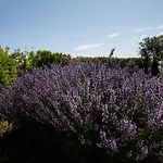 La Dimora Di Spartivento - Bw Signature Collection Hotel